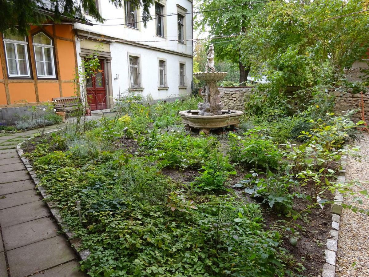 Hummel Hostel - Historische Stadtvilla Mit Garten Weimar  Dış mekan fotoğraf